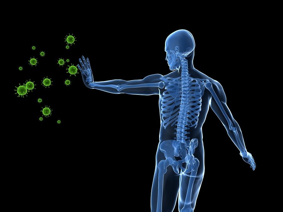 Upgraded Immune Systems Will Drive The Singularity