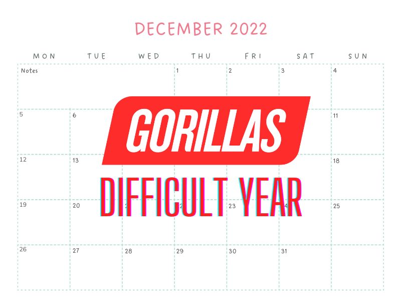 The worst year: It’s been a tough year for Gorillas CEO Kağan Sümer